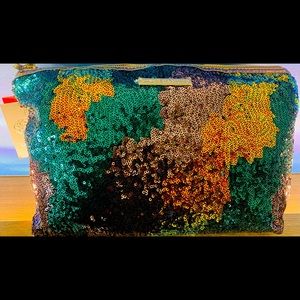 Sequin Multi Colored Clutch/Travel Case